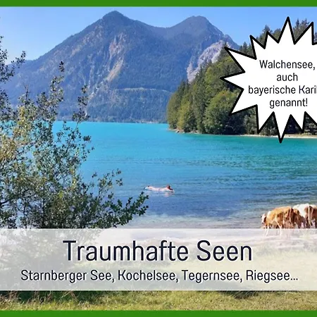 Birkennest-sauna-freisitz-almhuette Apartamento
