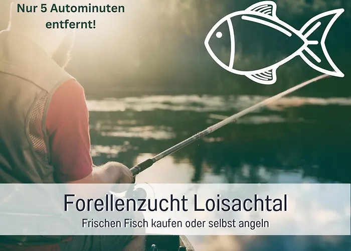 Birkennest-sauna-freisitz-almhuette