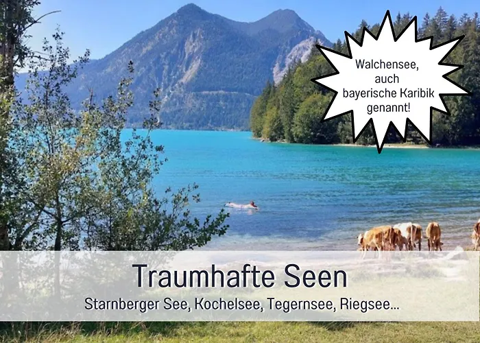 Birkennest-sauna-freisitz-almhuette Apartmán